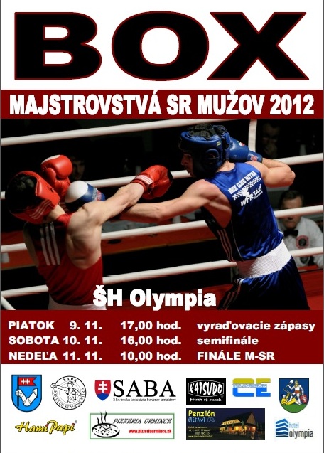 plagat msr2012